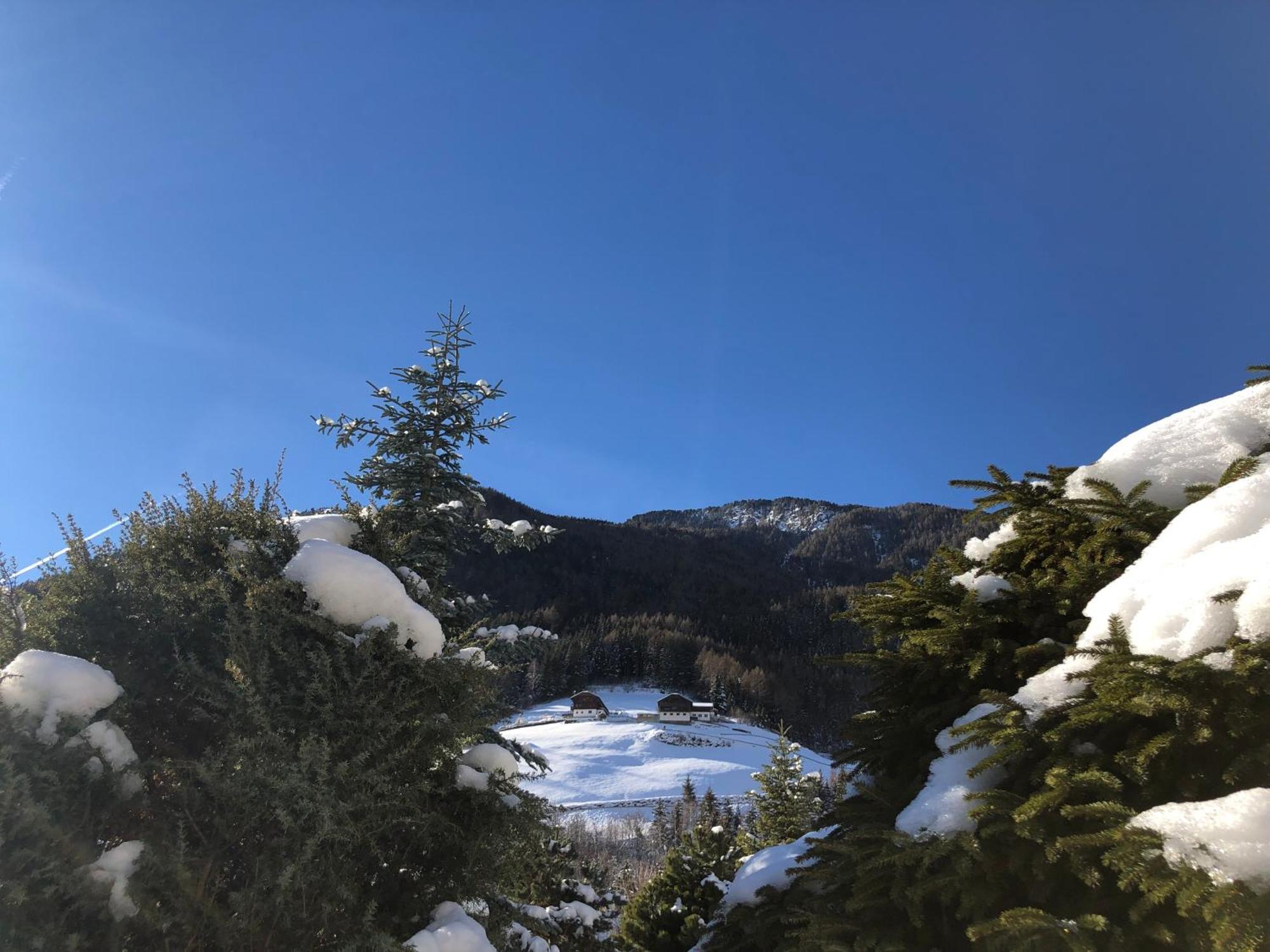 Residenz Feldmuehle Unterhalb Der Burg Taufers Lägenhet Sand in Taufers Exteriör bild